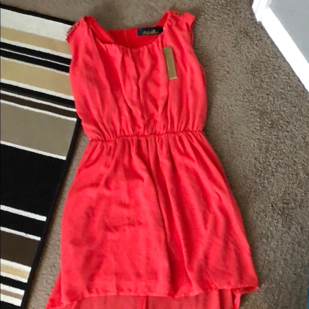 Francesca’s summer dress